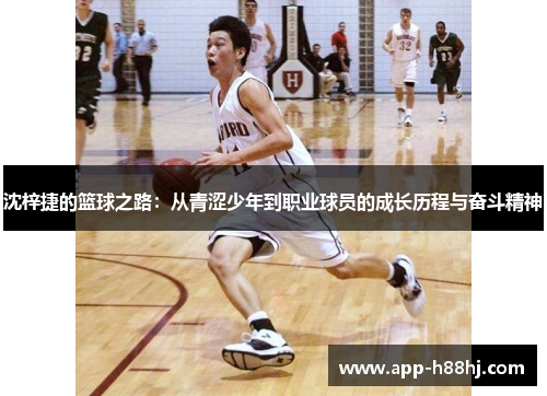 沈梓捷的篮球之路：从青涩少年到职业球员的成长历程与奋斗精神